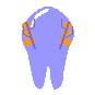dis_bugdayi_icon